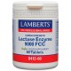 Lactasa 9000 FCC. Enzima Digestiva 60 Tabletas - Lamberts
