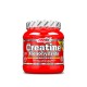 Creatina Monohidrato 300gr - Amix