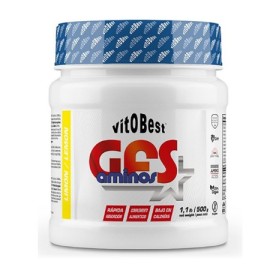 GFS Aminos 500gr - VitoBest