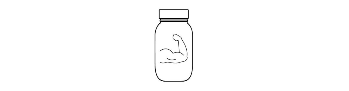 Aminoácidos Ramificados BCAA