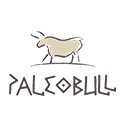 Paleo Bull